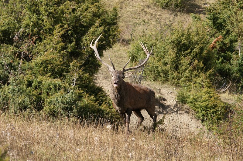Un''arena molto contesa